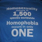 Front of Pride shirts