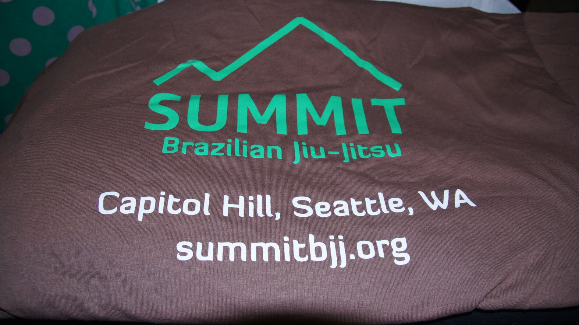 Summit Brown tshirt