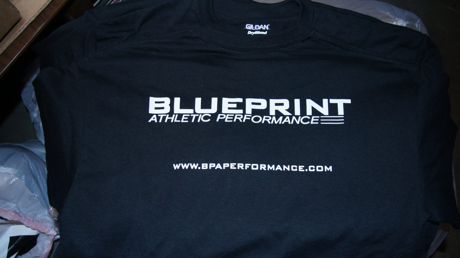 Back of Blueprint t-shirt