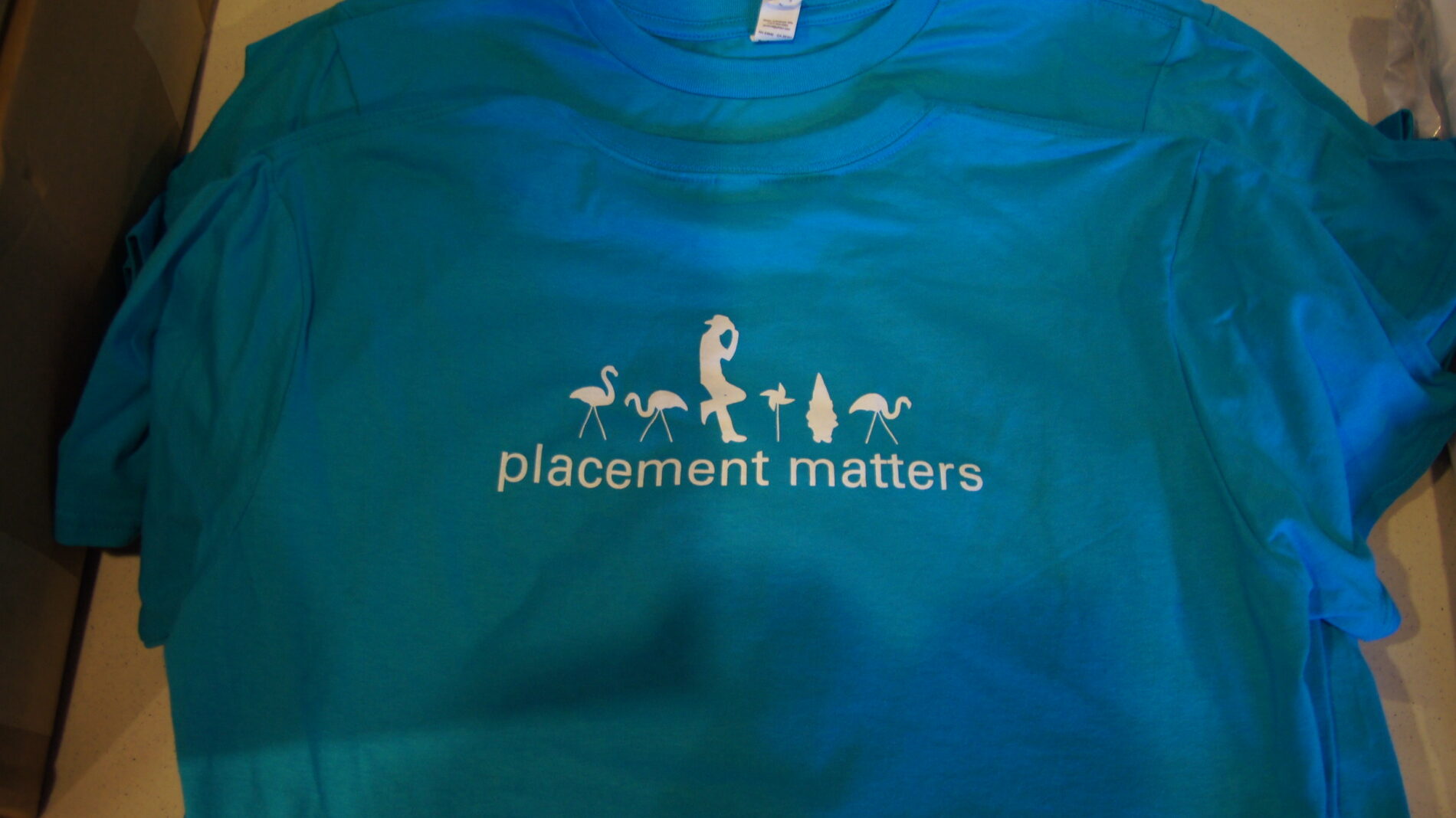 Back of Flamingo t-shirt.