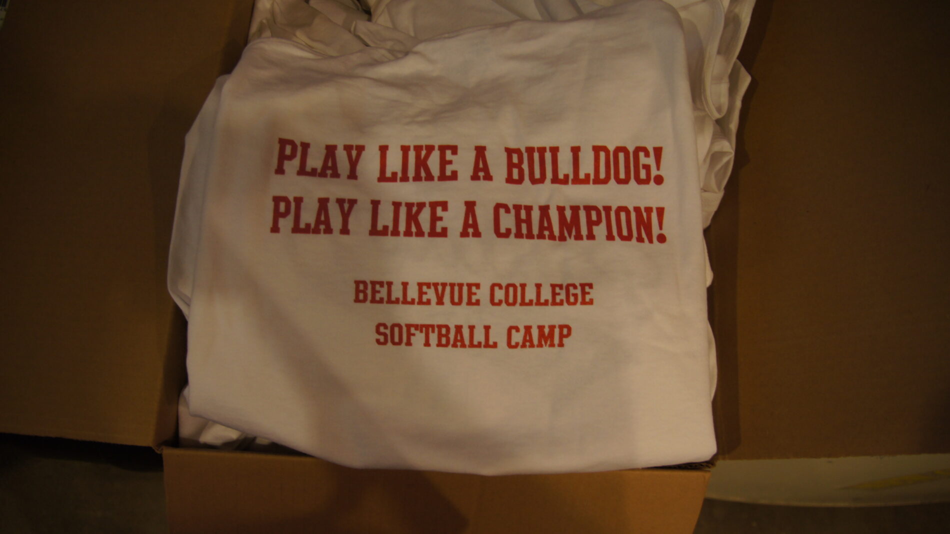 Softball Camp T-shirt
