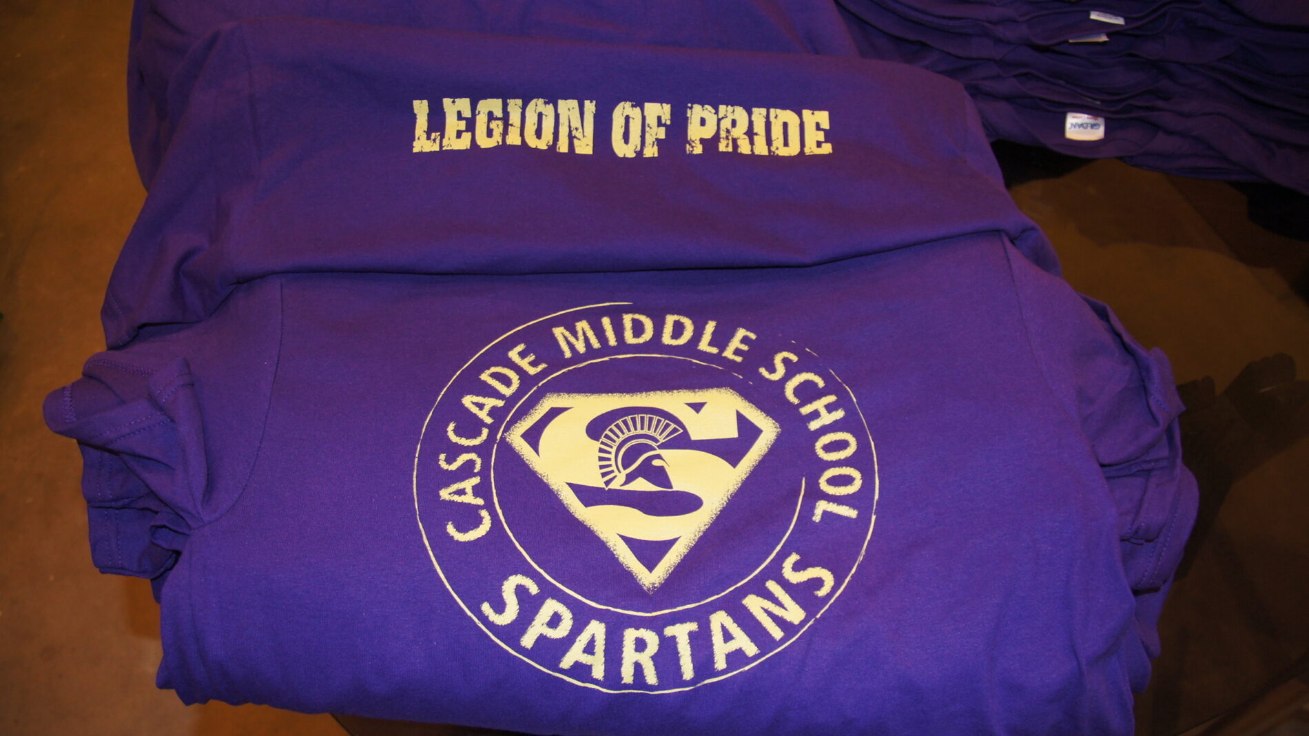 1-color hoodies for Cascade Middle School