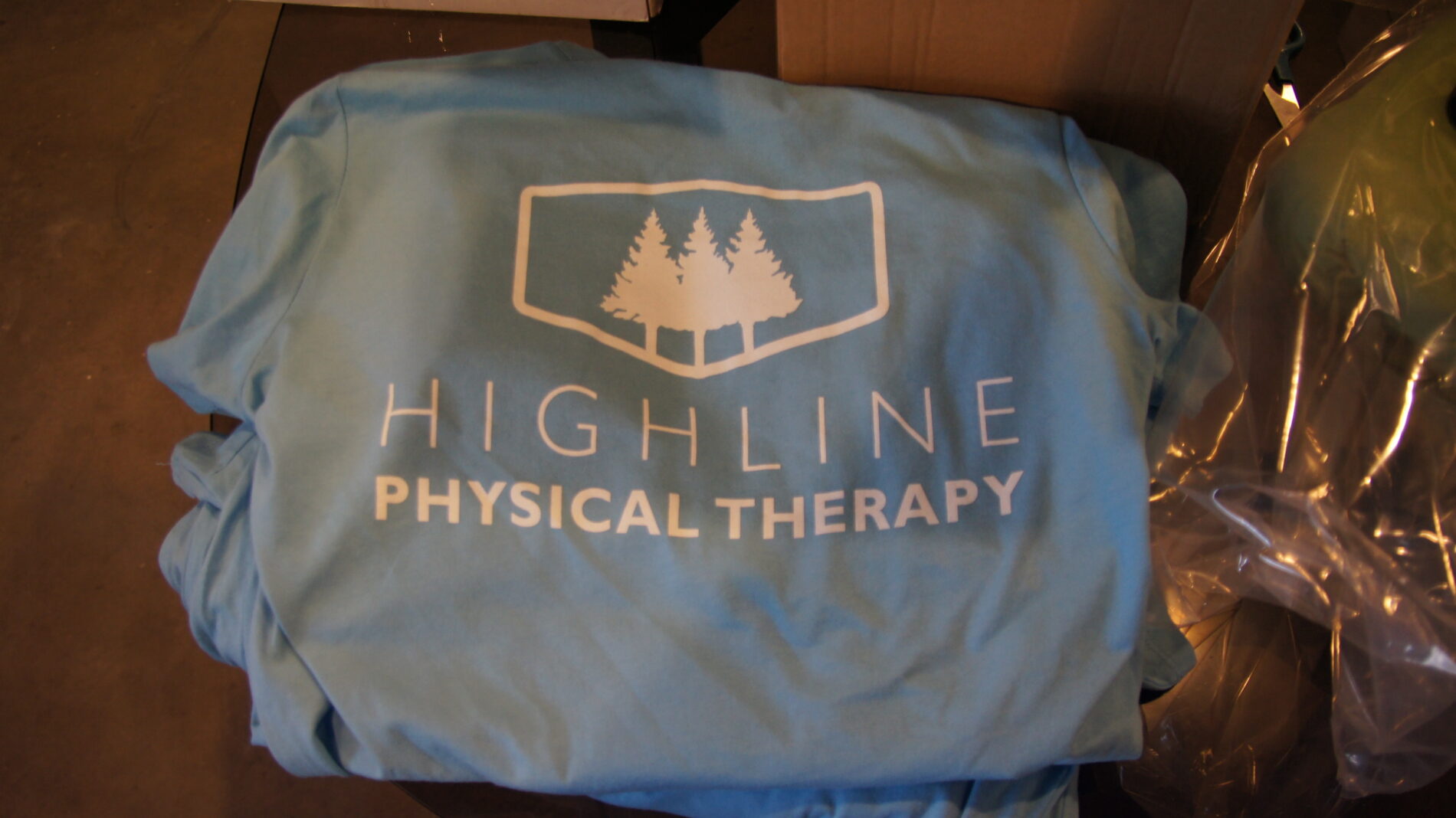 1-color screen print for Highline Physical Therapy.