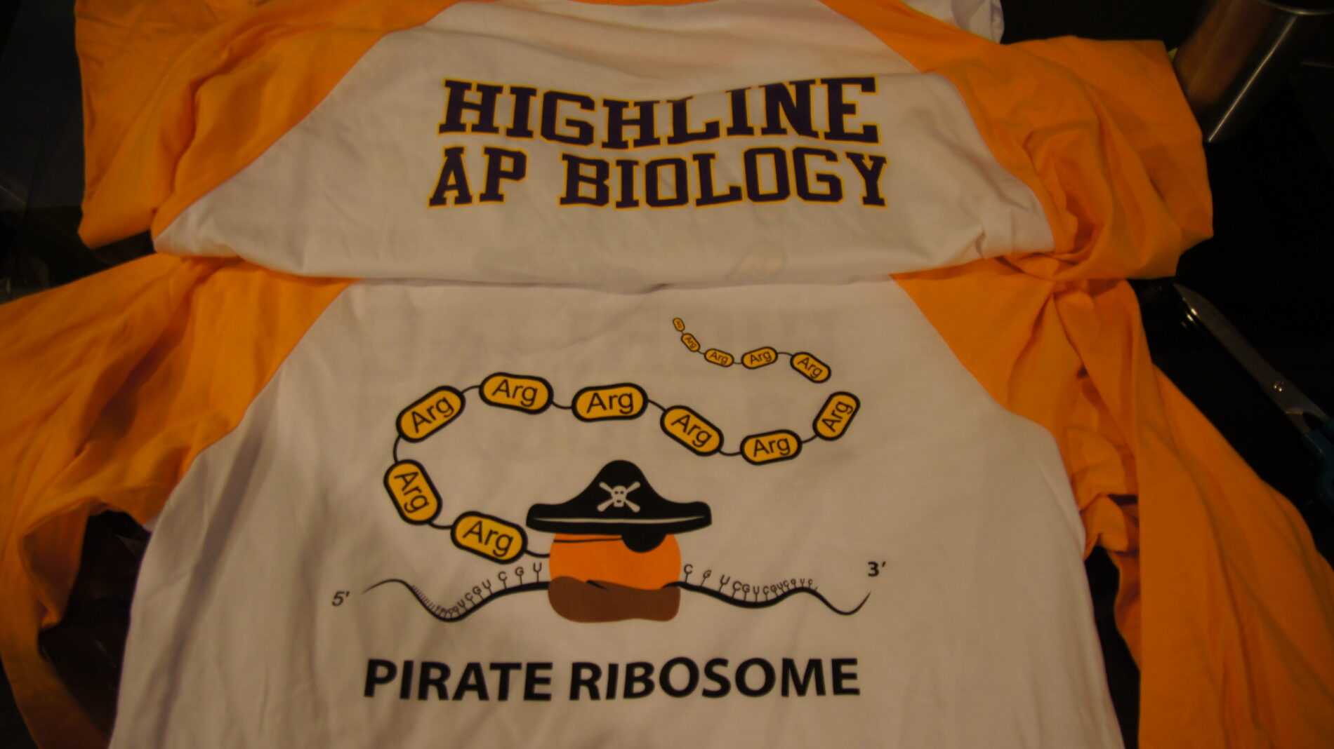 Team biology t-shirts screen printed for Highline AP Biology.