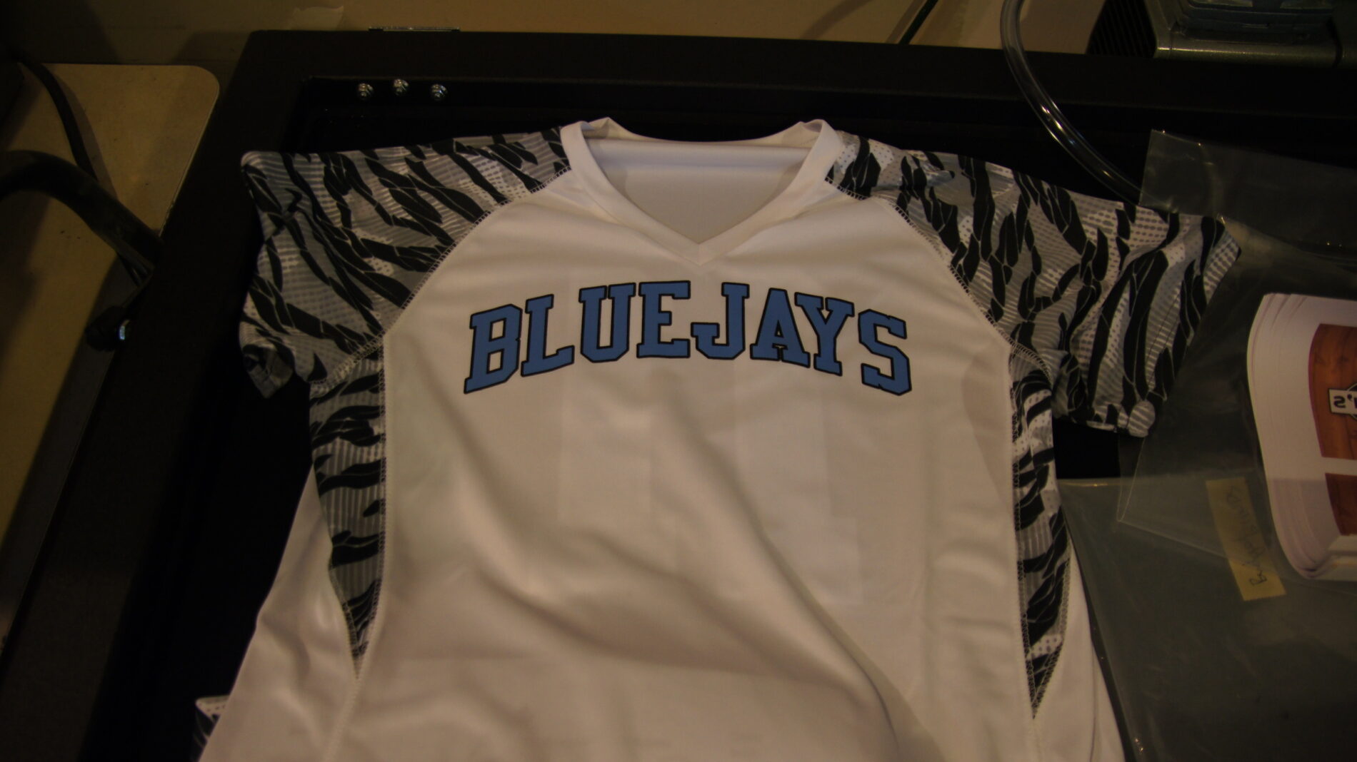 Bluejays