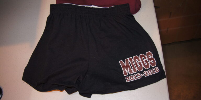 Screen printed Soffe shorts for Mercer Island Girl Gymnastics.