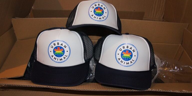 Pride Urban Animal Snapbacks