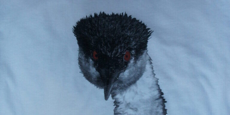 Photos on T-shirts